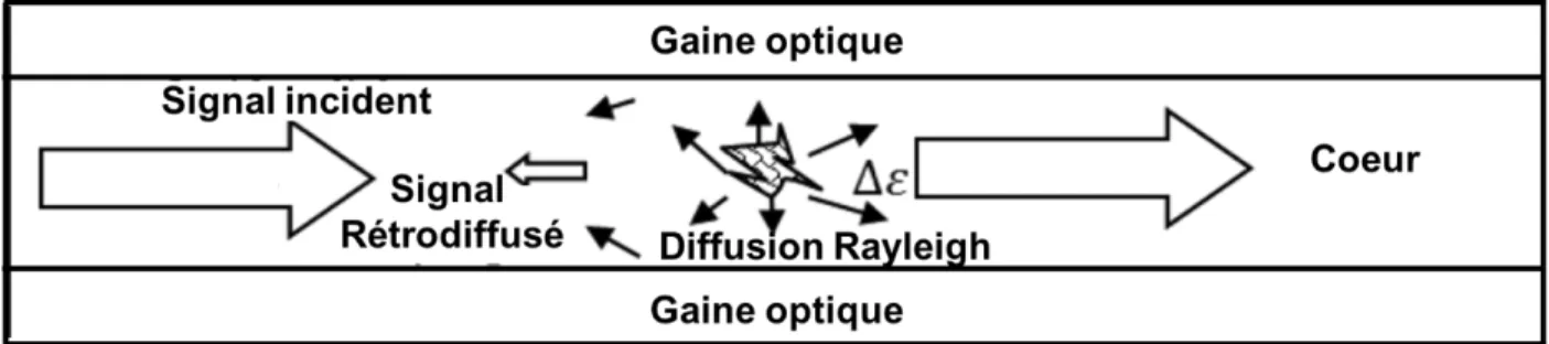Figure 2.5 : Schéma illustrant le processus de diffusion élastique (Rayleigh) dans une fibre  optique (schéma adapté de [38])