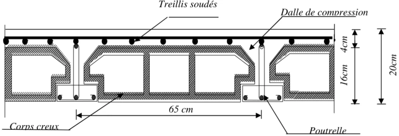 Figure II.1 Coupe verticale du plancher