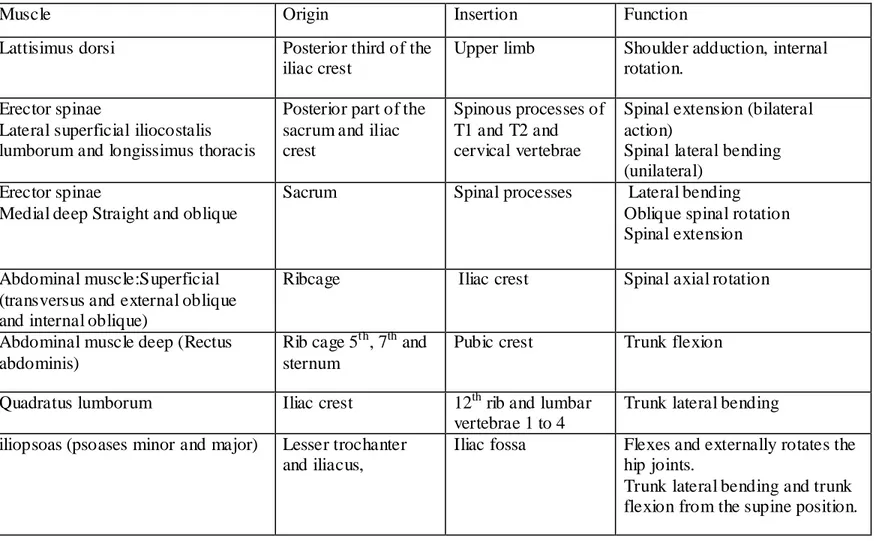 Table 1.2: Muscles connecting the pelvis to trunk 