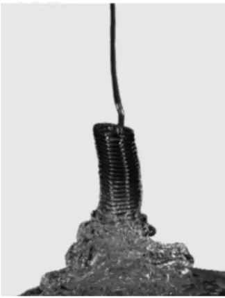 Figure 2-9: illustration de l'effet bouclant de la chute d'un filament visqueux sur une plateforme  solide (issu de réf [38]) 