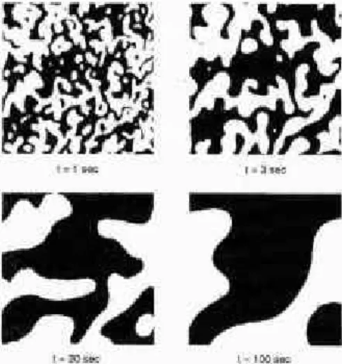 Figure 1 : Evolution du système de cristaux  liquides, décrit dans le texte [M. Mason, A.N