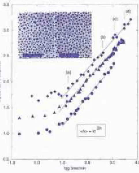 Figure 7 : (a) Le facteur de structure, en espace de  Fourier, pour le système décrit dans le texte et pour  différents temps effectifs de coarsening [G