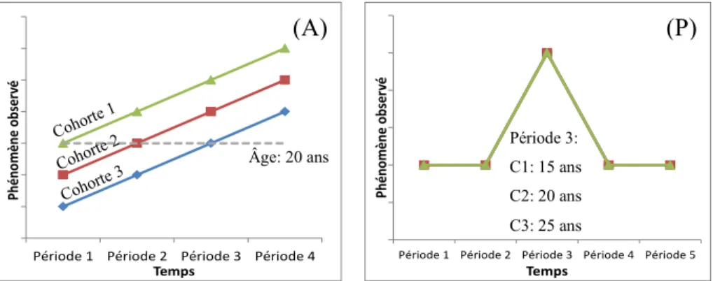 Figure 2-1. Illustration des effets d’âge (A), de période (P) et de cohorte (C) 1   