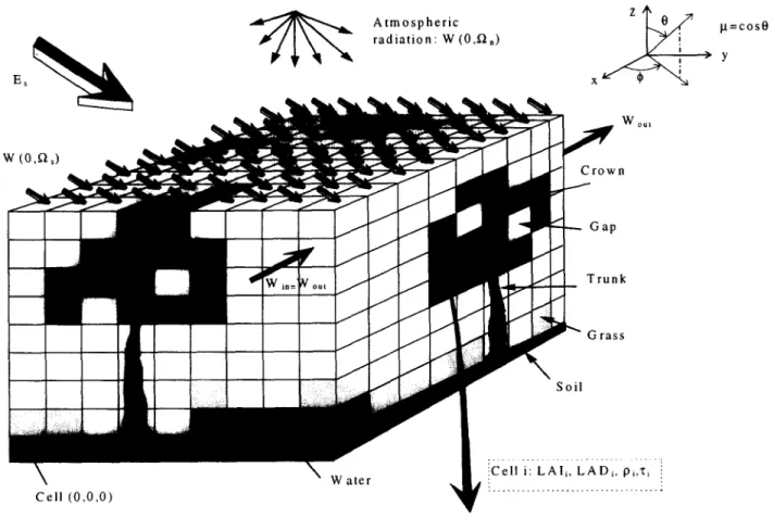 Figure i.  Representation of a cell matrix and its general  illumination. 