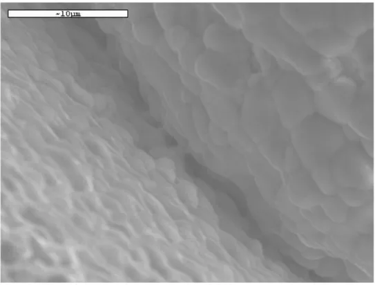 Figure  3.14 :  Agrandissement  des  points  de  contacts  entre  particules  agglomérés  sur  lit  fixe  à  1 200  C avec isotherme de 1 h sous air 