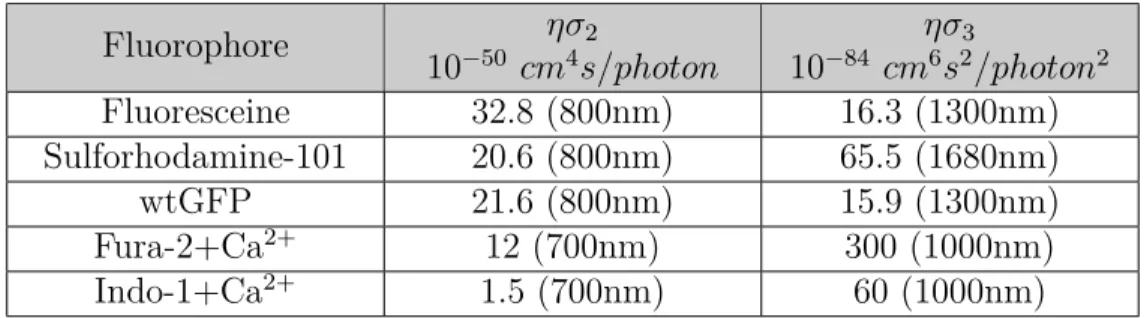 Tableau 2.1 Sections efficaces d’actions pour différents fluorophores - longueur d’onde d’ex- d’ex-citation indiquée entre parenthèses (Cheng et al., 2014; Xu et al., 1996).