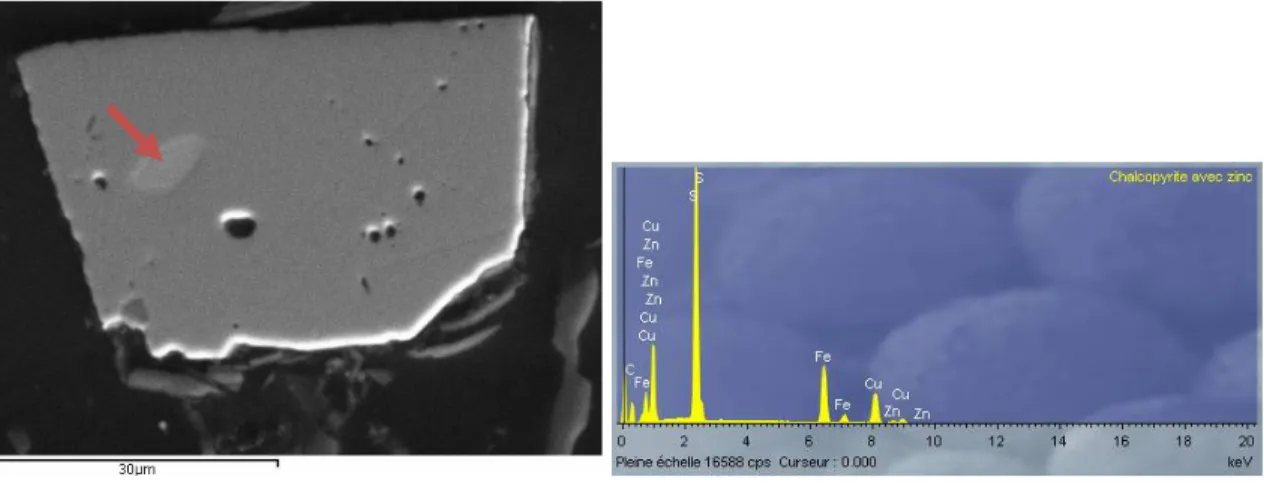 Figure 3-8 : Photo du même grain de pyrite prise au MEB. 
