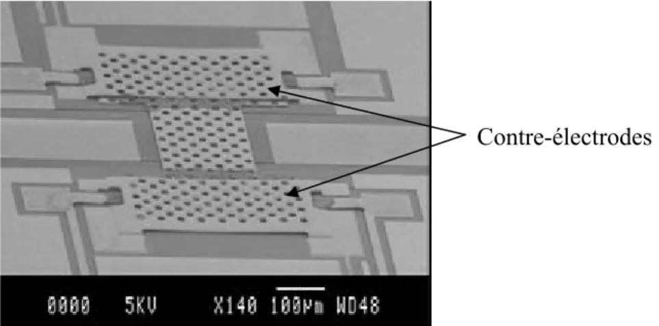 Figure 1.11 : Micro-commutateur optimisé pour la tenue en puissance micro-onde avec  contre-électrodes 