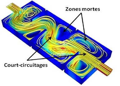 Figure 1-1: Illustration des phénomènes de court-circuitages et de zones mortes (adapté de   COMSOL [11]) 