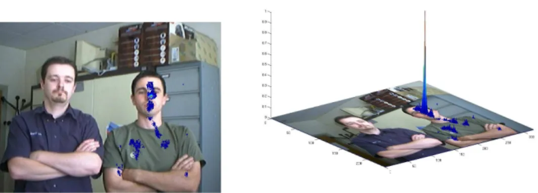 Fig. 3.25  Exemple de vraisemblane en tout point image pour une fontion de mesure ombinant forme et mouvement