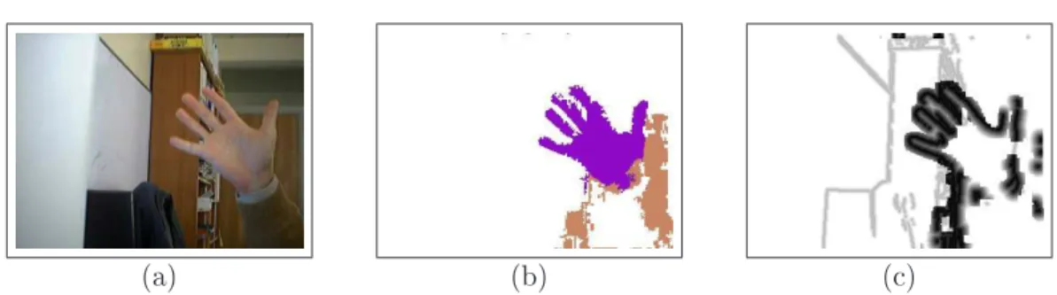 Fig. 3.26  Exemple de masquage de l'image de distan
e à partir de la segmentation régions : (a) image originale, (b) segmentation régions, (
) image de distan
e pondérée