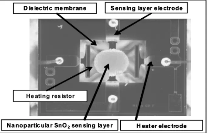 Figure 1: Top of view of SnO 2  gas sensor developed by MICS in the frame of Nanosensoflex Project