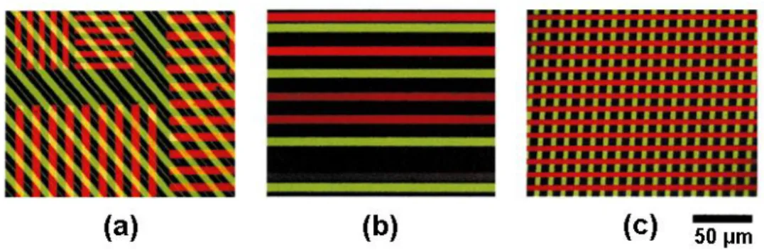 Figure 1.11: Fluorescent images of microcontact printed proteins onto a substrate. (a)  Two different proteins subsequently printed using different PDMS stamps [63]