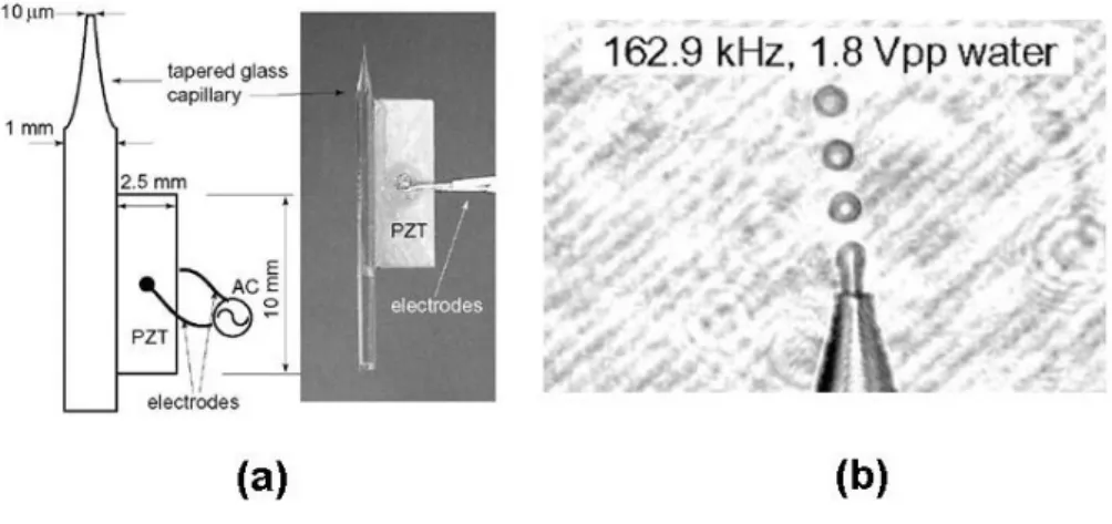 Figure 1.13: PZT/Glass capillary actuator [70]. (a) Schematic drawing and picture of  a fabricated device