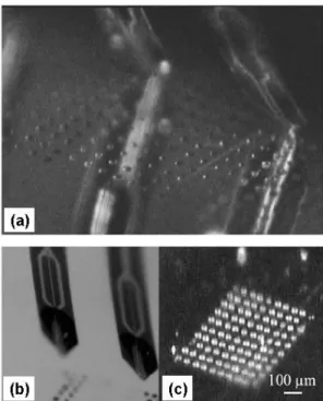 Figure 1.26: Spotting system developed at LAAS-CNRS. (a), (b) Two silicon-based  microcantilevers during the deposition process
