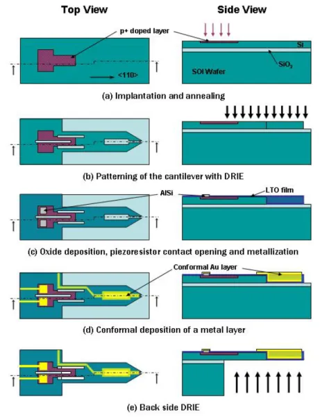 Figure 2.5: Fabrication process of the bioplume chip. (a) Implantation of BF2  to create  the piezoresistor