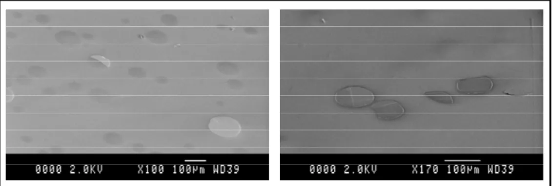 Figure I-28 : Vue au MEB de la surface delaminée du nitrure de silicium 