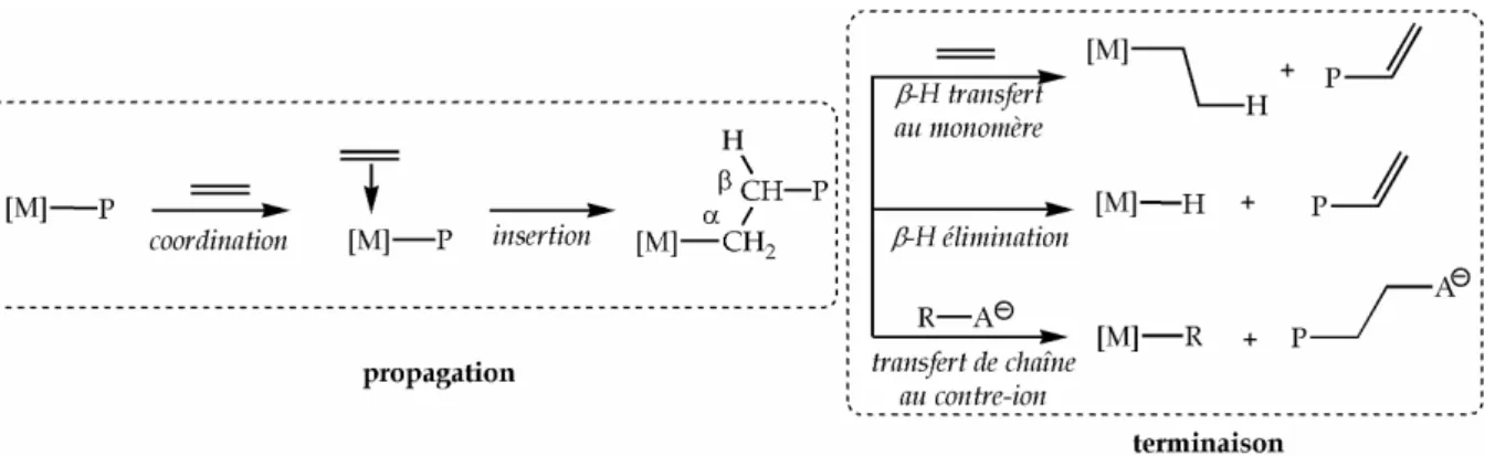 Figure I.4  Mécanisme de polymérisation des oléfines par un métallocène activé 