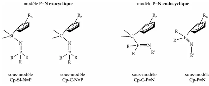 Figure I.15  Modèles et sous-modèles de ligands envisagés. 