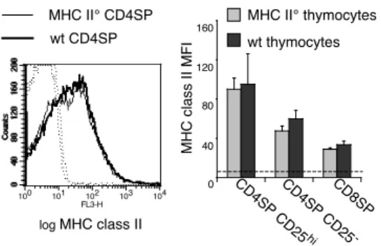 Figure 1MHC II° CD4SPwt CD4SPlog MHC class II100101102103104FL3-H04080120160CD25+ CD25-CD8CD8SPCD4SP CD25hiCD4SP CD25-MHC II° thymocyteswt thymocytes16012080400MHC class II MFI