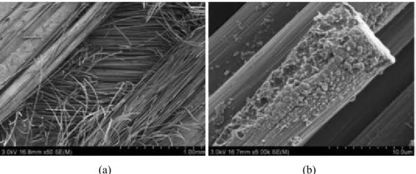 Figure 2.6: Scanning electron microscopy (SEM) images showing two key modes of lightning