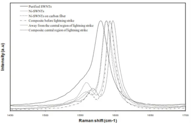Figure 2.8: Raman spectroscopy study of nickel-coated SWNTs used as conductive fillers in