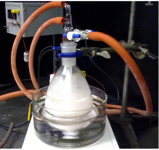 Figure 2.5 – Sublimation du naphtalène.    