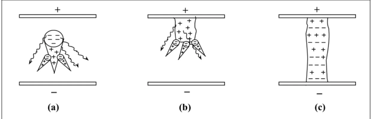 Figure 4 : Développement d'un canal de décharge filamentaire [22]:   (a) Transition avalanche - streamer  