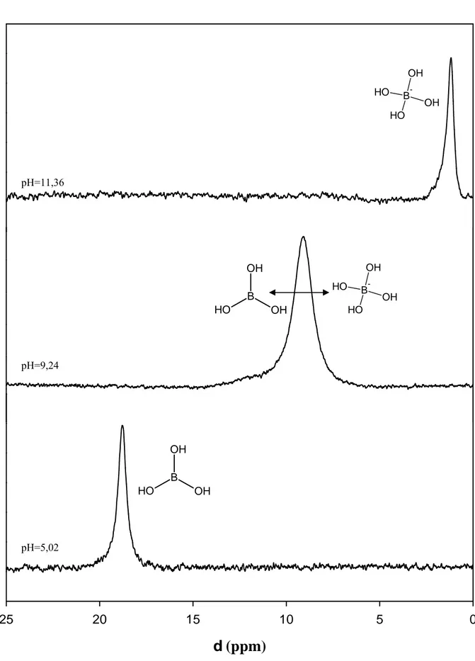 Figure 1-4 : Spectres RMN  11 B de l’acide borique et de l’ion borate en solution. 
