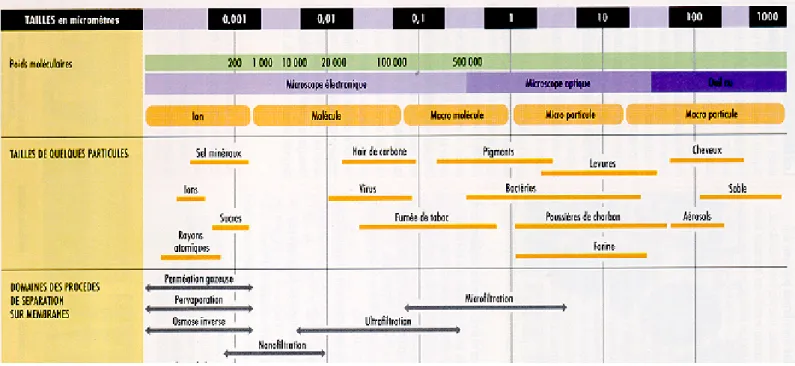 Fig. 1 : Les opérations de filtration membranaire selon la taille des pores et des espèces retenues