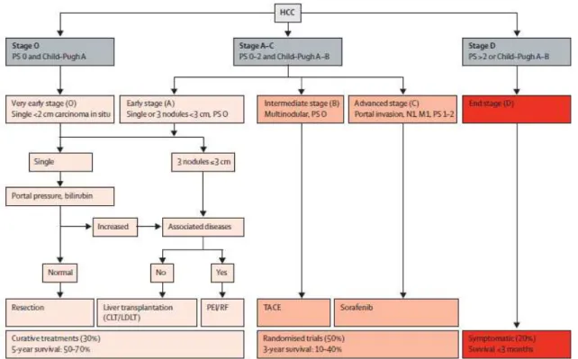 Figure  1.  5:  Stratégie  proposée  pour  contenir  et  traiter  le  CHC  selon  les  recommandations  du  BCLC  (PS  =  ‘performance  status’  (état  du  patient),  N1  =  ‘lymph  node  involvement’  (adénopathie),  M1  =  ‘metastatic  spread’  (propagat