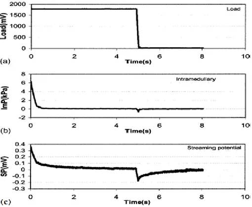 Figure  1-7 :(a)  Charge  de l’os de dindon en fonction du temps,  (b)  pression intra-médullaire  et (c) amplitude du potentiel d’écoulement