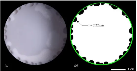 Figure 4-4 : Image analysis of laboratory scale RTM mold samples to detect and count gas  bubbles 