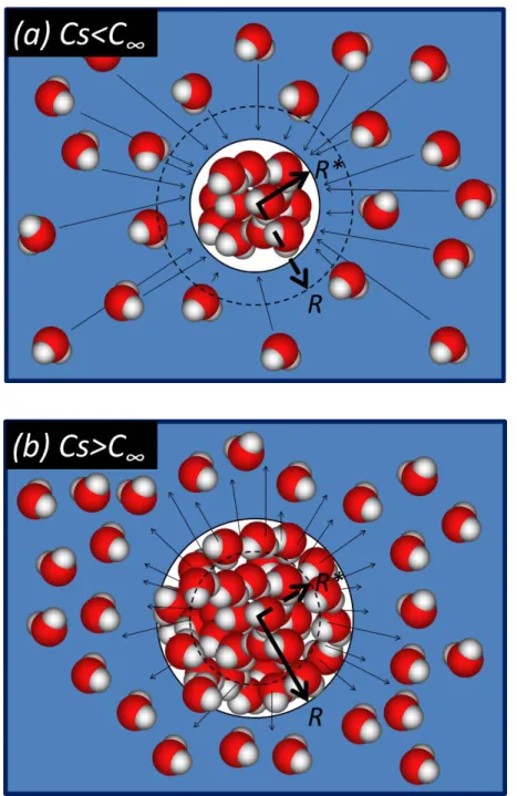 Figure 2-25 : Évolution du rayon de la bulle en fonction de Cs et C∞ 