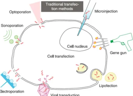 Figure 1.1 Schematic of traditional transfection methods. Reprinted from W. Ding et al