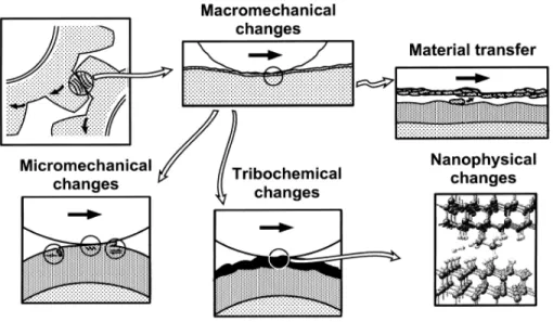 Figure  2.5  Different  tribological changes that can affect the tribological contact mechanisms