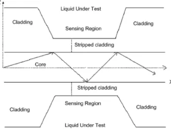 Figure 1.8  Schematic of the  fiber refractometer based on evanescent-field detection  (Fig.2  from Ref