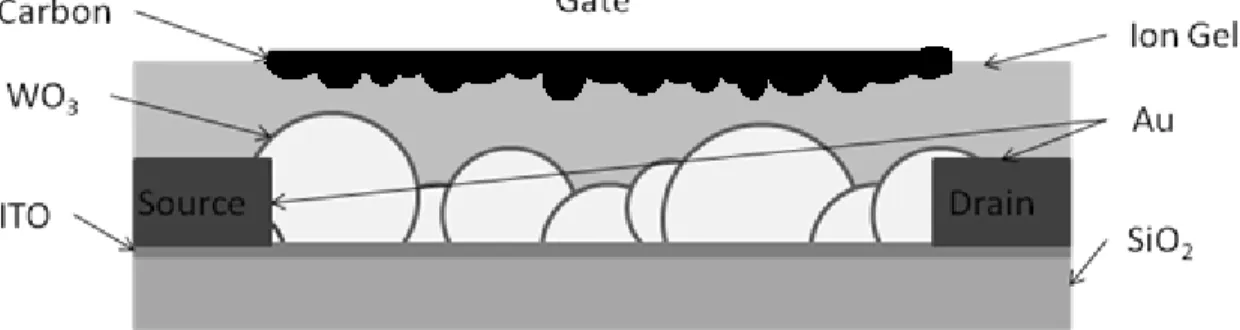 Figure 14: Schématique de la configuration transistor électrolytique. À noter l’importance  d’utiliser une électrode de grille en carbone activée pour optimiser la charge accumulée à 