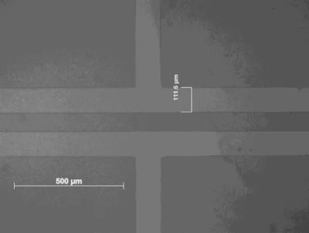 Figure 20: Image obtenue par microscopie optique des électrodes en ITO (7 mm x 110 μm) 