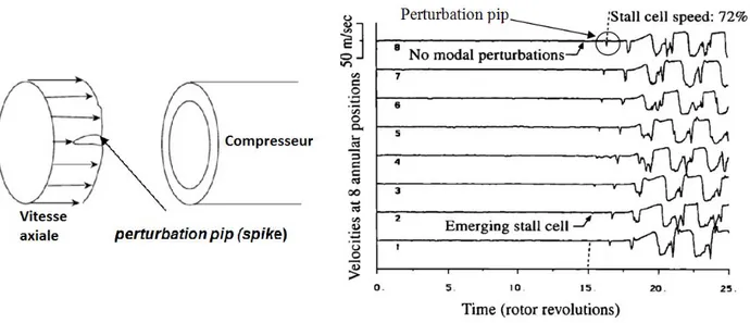 Figure I- 8 : Des mesures expérimentales montrant la formation d’une cellule de décrochage sans  même la présence d’une perturbation modale [5] 