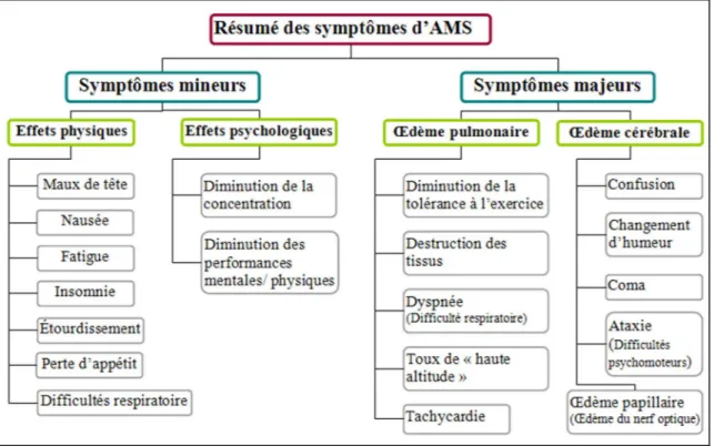 Figure 1-1 : Résumé des symptômes du mal des montagnes. 