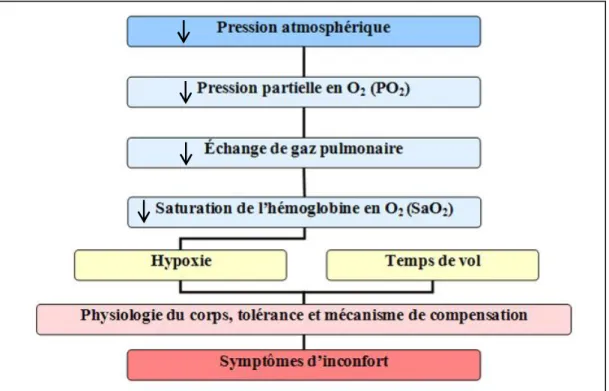 Figure 1-2 : Conséquences d’une diminution de pression atmosphérique sur l’inconfort. 