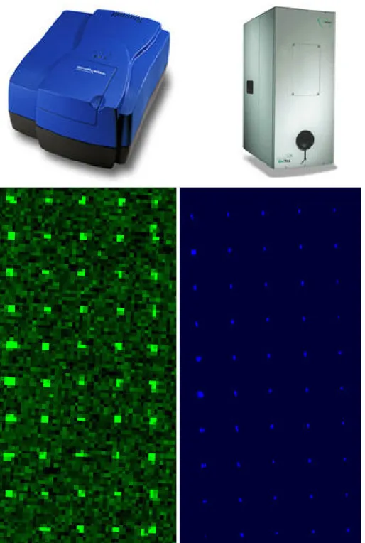 Fig. 2.13 : ScanArrayers : GenePix (gauche) et BioAnalyzer (droite) de r´esolutions respectives de 10 µm/pixel et 1 µm/pixel