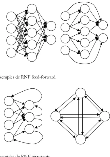 Figure III.1.1 : exemples de RNF feed-forward.  