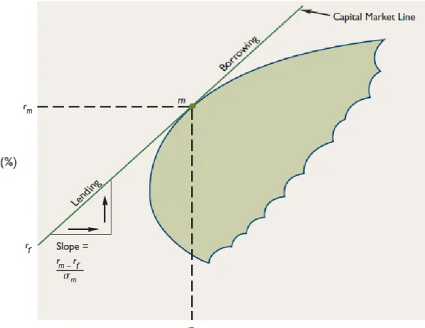 Figure 1.3: Capital Market Line (Moyer et al., 2006) 