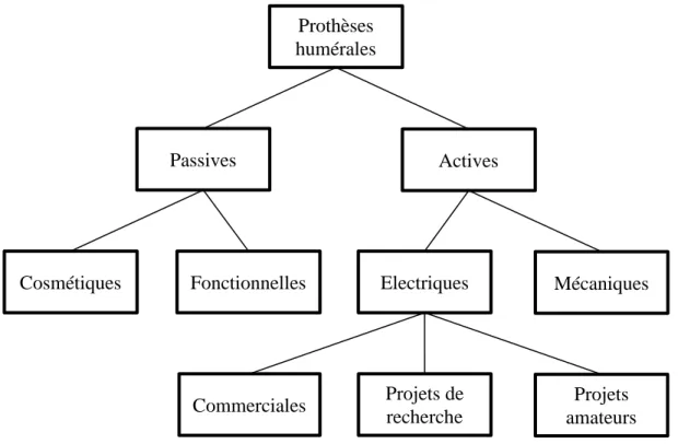 Figure 2-6 : Différents types de prothèses humérales Prothèses 
