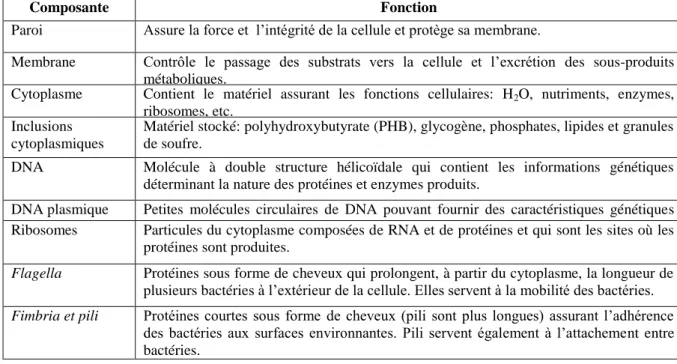 Tableau 2.1 - Description des composantes cellulaires bactériennes 