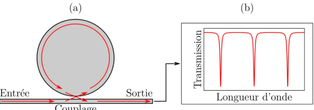 Figure 1.2 Système couplé résonateur-guide d’onde. (a) Le guide d’onde injecte et récupère une partie de l’onde lumineuse se propageant dans le résonateur