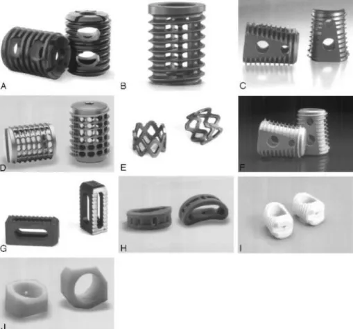 Figure 2-12 Interbody cages with different shapes and materials (Image taken from [41]) 