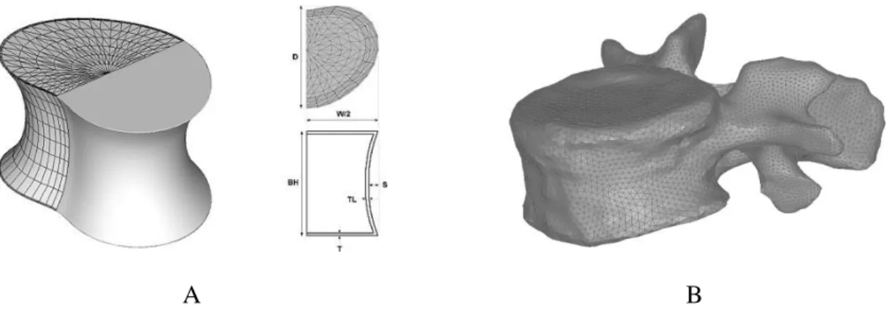 Figure 2-14 A) Generic model with parametrized body height, width, depth, and thickness [73],  and B) a specimen FEM of the L3 lumbar vertebra 